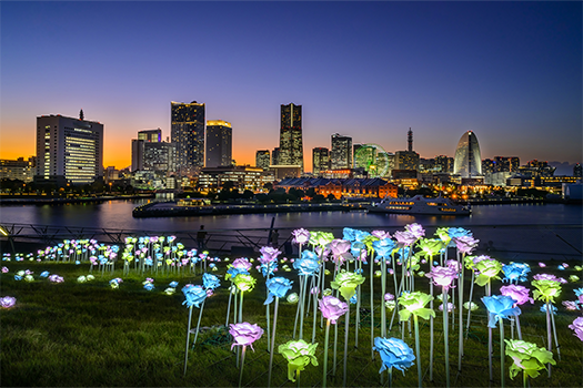 요코하마시：01