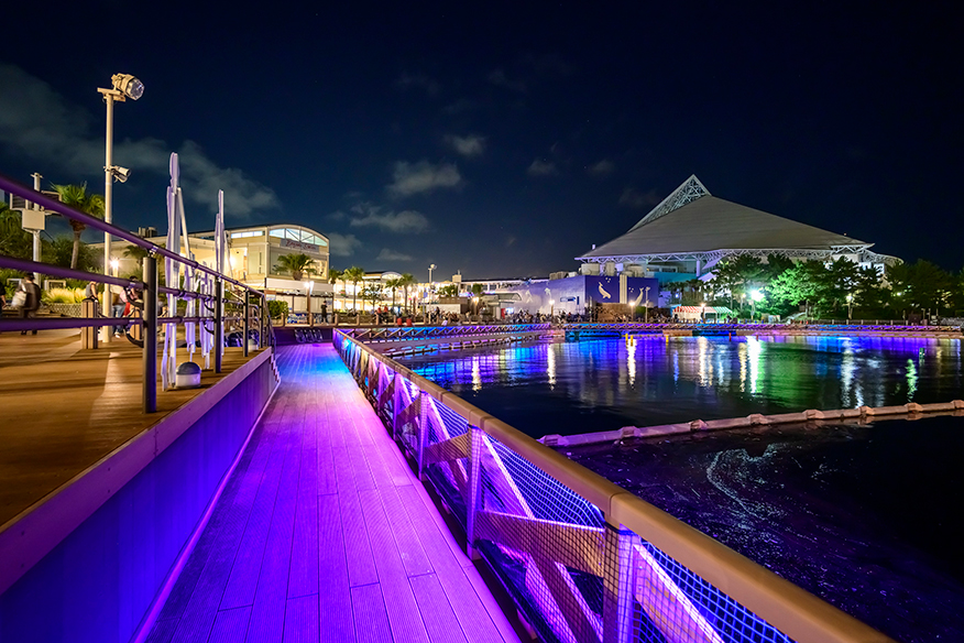 요코하마 핫케이지마 씨파라다이스：2